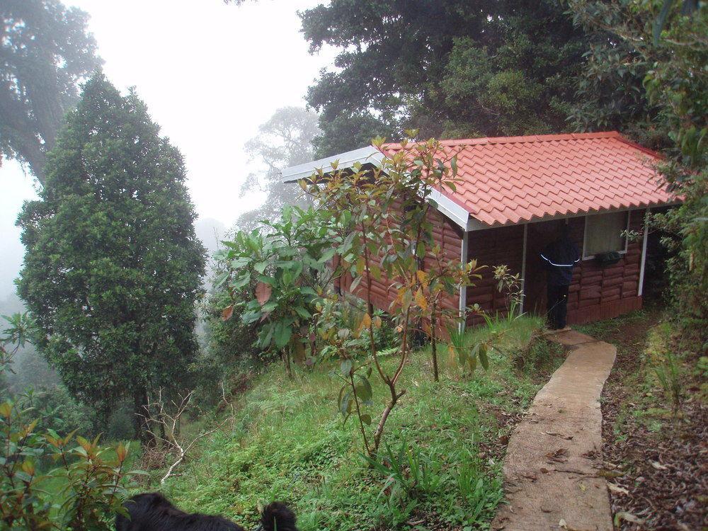Paraiso Quetzal Lodge Tres de Junio Luaran gambar